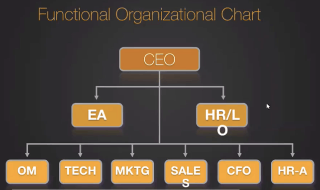 functional organizational chart